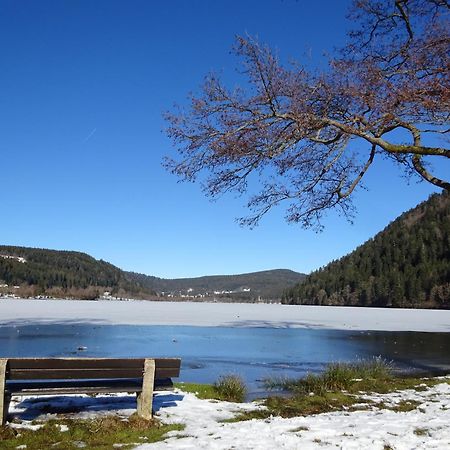Chalet La Petite Perle Gérardmer Esterno foto
