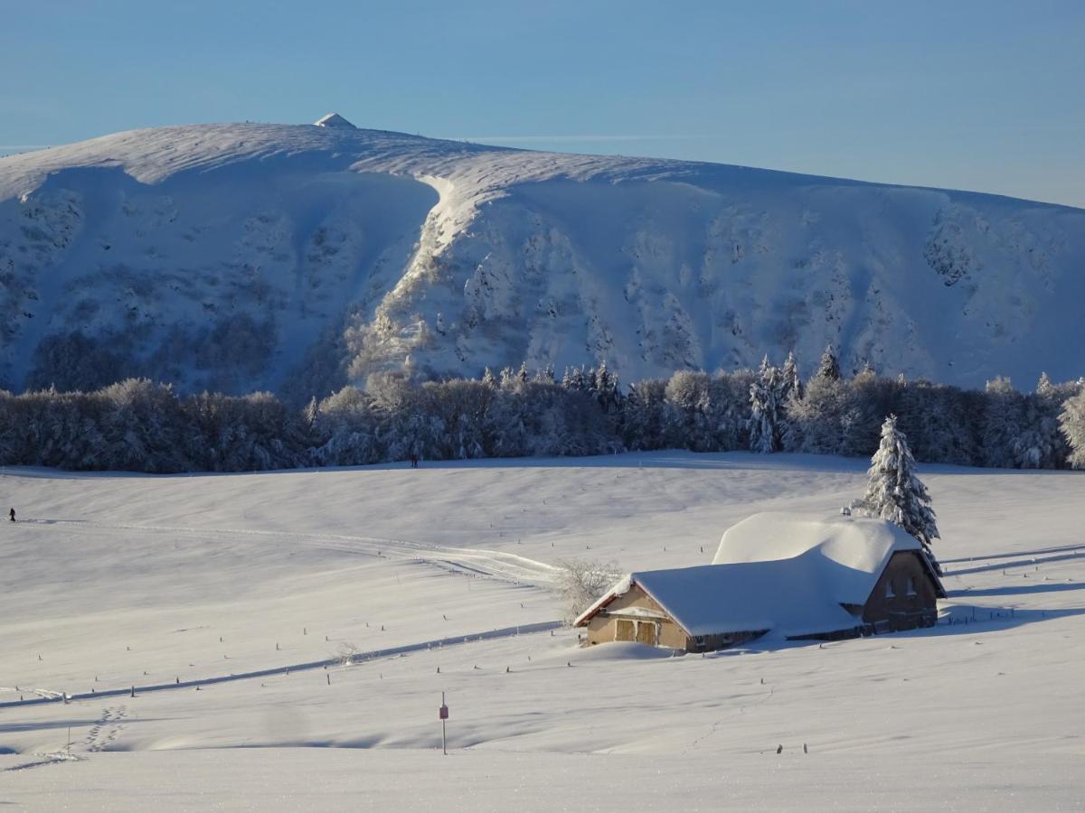 Chalet La Petite Perle Gérardmer Esterno foto