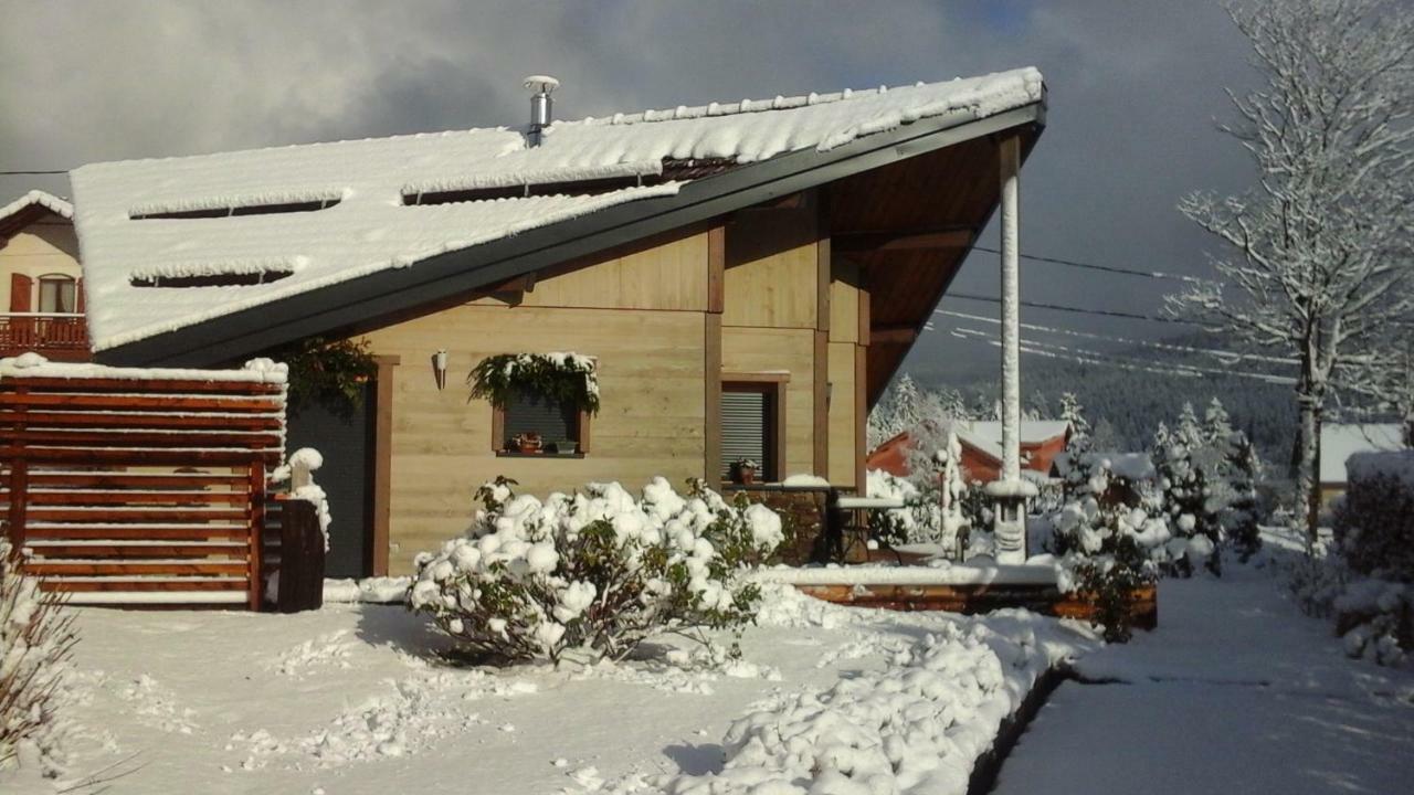 Chalet La Petite Perle Gérardmer Esterno foto